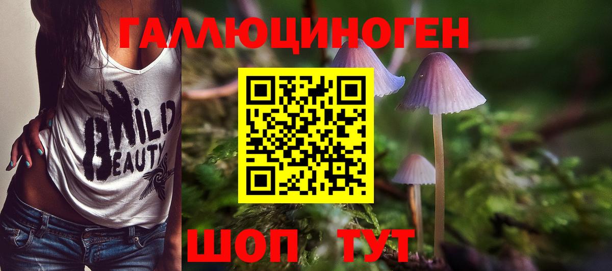 Галлюциногенные грибы мухоморы  купить наркотики цена  Углич  Вход с VPN 