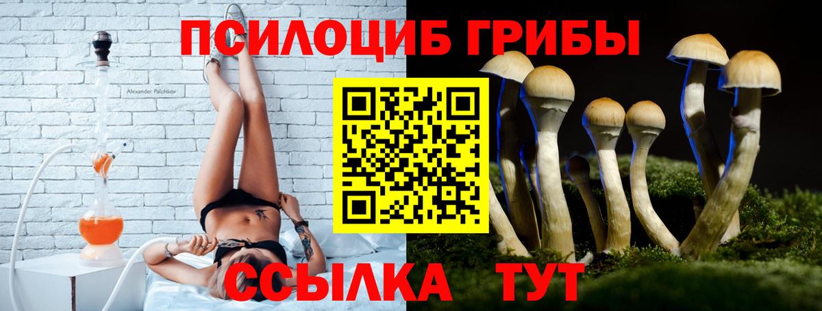 Псилоцибиновые грибы MAGIC MUSHROOMS Углич